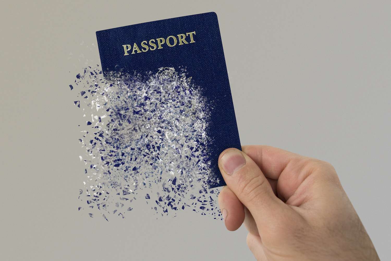 Revocation of Passport